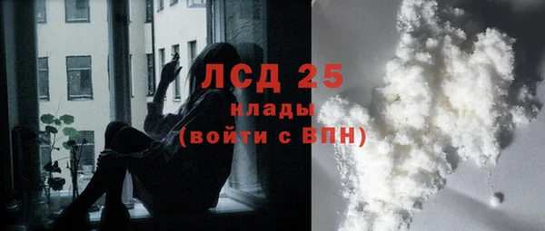 прущий лед Новозыбков