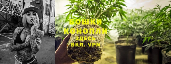 гидра Новодвинск