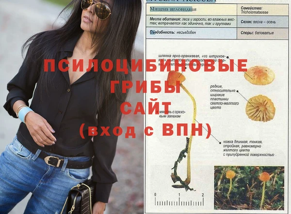 прущий лед Новозыбков
